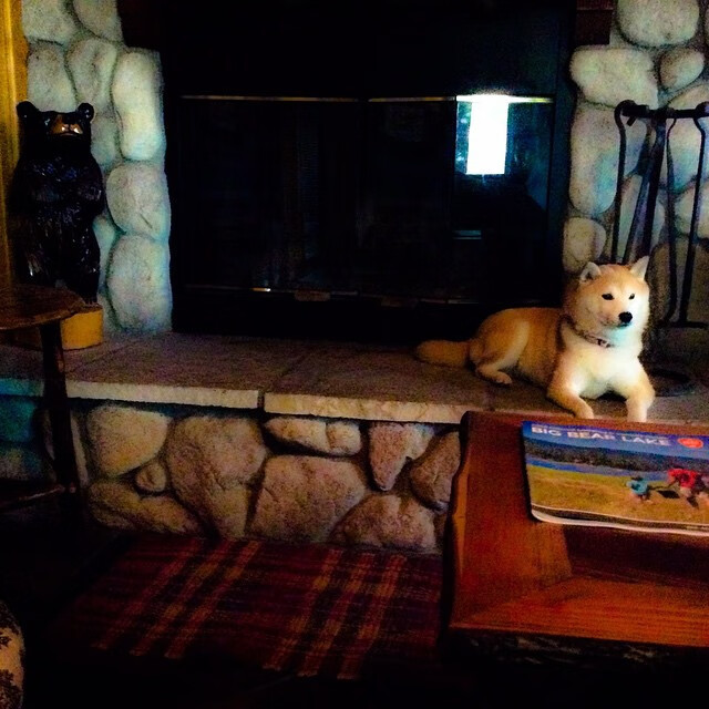 开云体育官网登入-学校足球“名师+名队+名赛”联动,青训体系逐步完善,学校足球队名字有创意好听 第2张 开云体育官网登入-学校足球“名师+名队+名赛”联动,青训体系逐步完善,学校足球队名字有创意好听 第2张