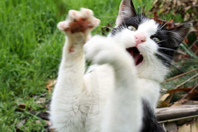 开云中国大陆-三分火力:北京队38%的三分命中率助力胜利!,北京三分场教育科技有限公司  第3张 开云中国大陆-三分火力:北京队38%的三分命中率助力胜利!,北京三分场教育科技有限公司  第3张