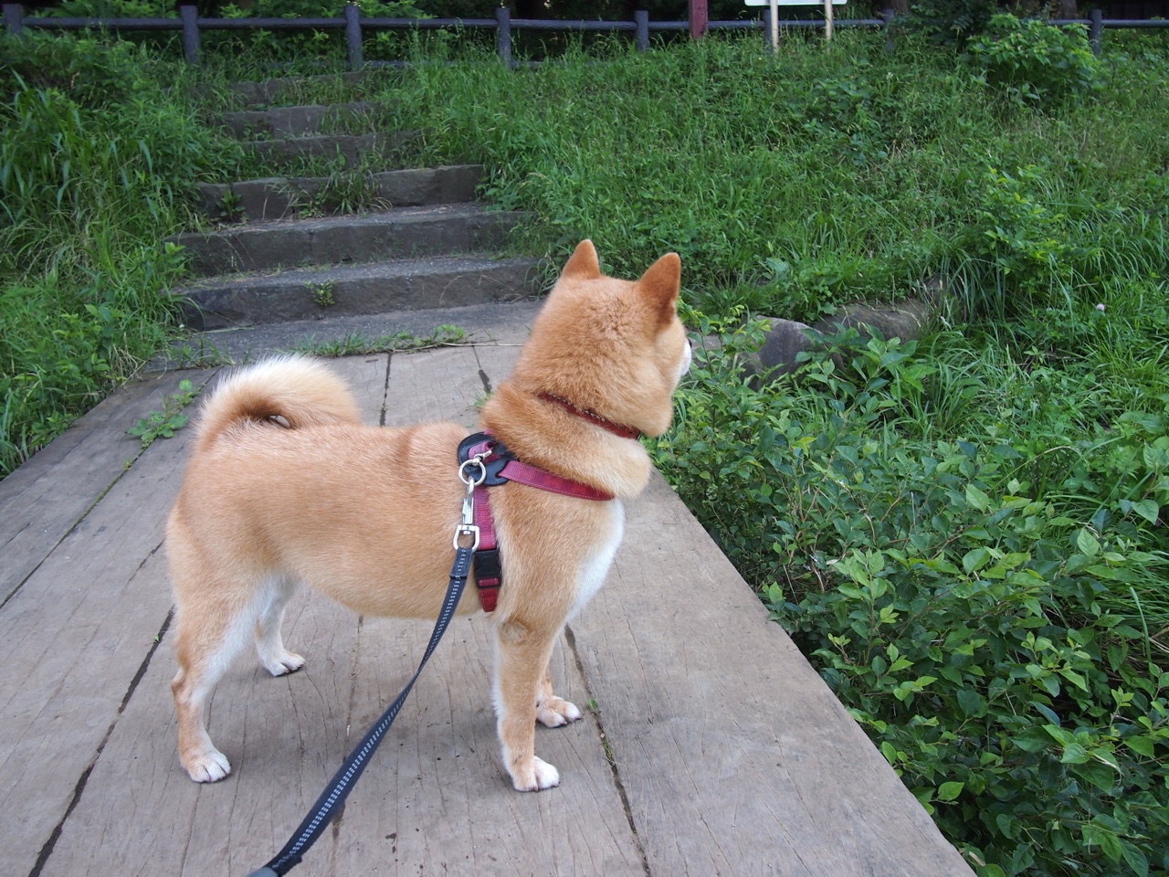 开云入口-中国足球行业年度评优活动蓄势待发，中国足球评价