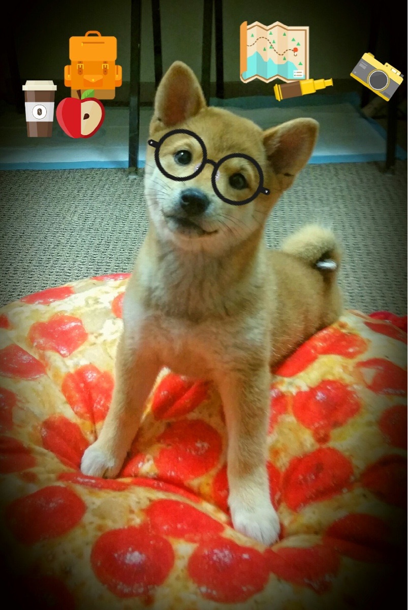 Kering-墨西哥换人上场自带“火锅”，热翻全场，墨西哥juarez