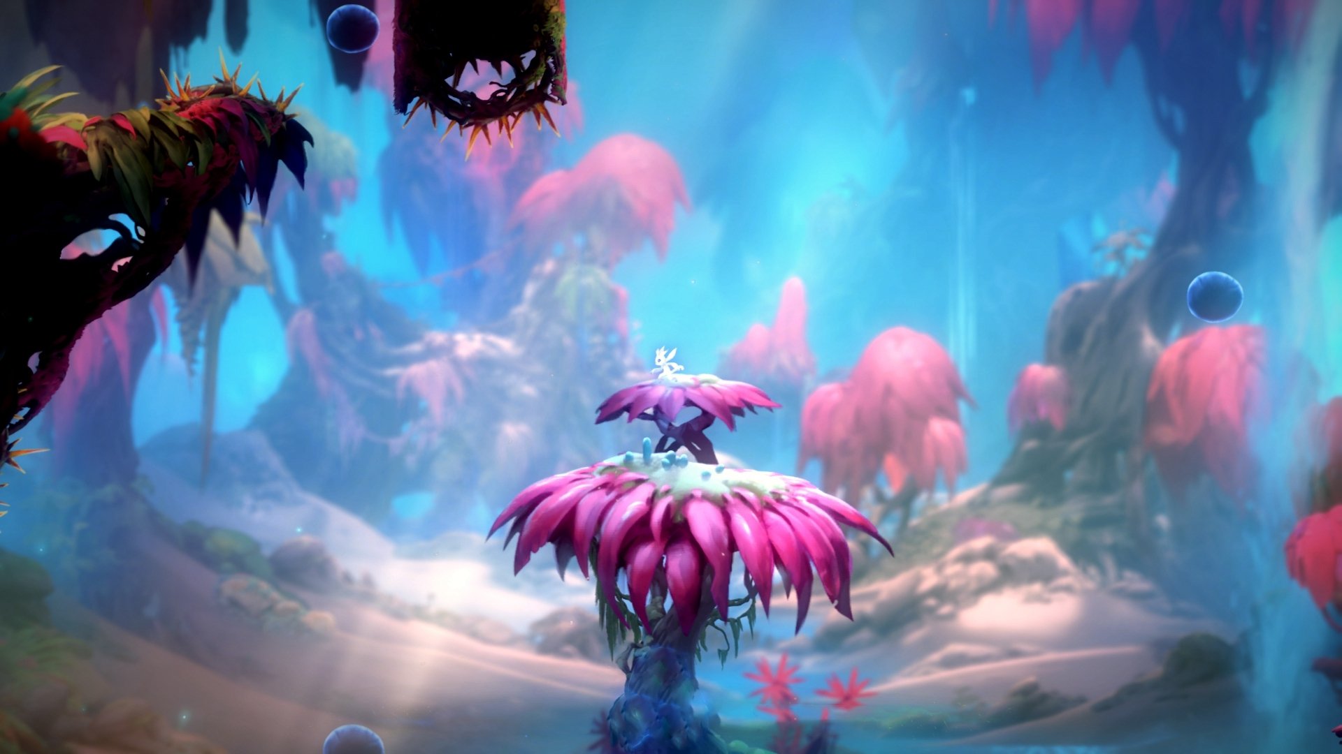 开云网页版登录入口-拜仁难以阻挡，持续领跑德甲，拜仁德乙